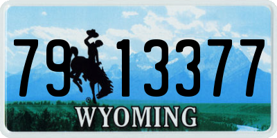 WY license plate 7913377