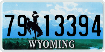 WY license plate 7913394