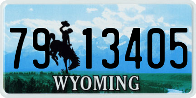 WY license plate 7913405