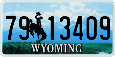 WY license plate 7913409