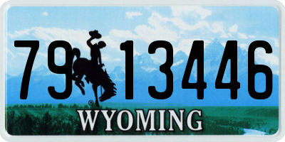 WY license plate 7913446