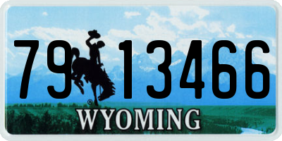 WY license plate 7913466