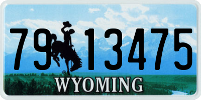 WY license plate 7913475