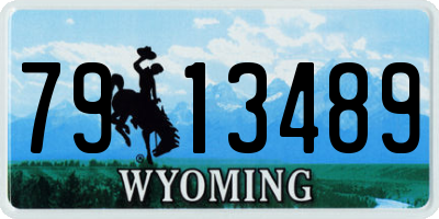 WY license plate 7913489