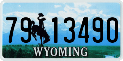 WY license plate 7913490