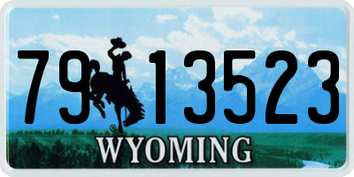 WY license plate 7913523