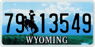 WY license plate 7913549