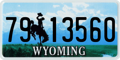 WY license plate 7913560