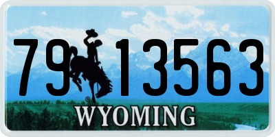 WY license plate 7913563
