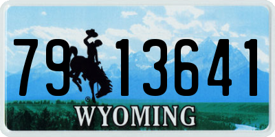 WY license plate 7913641