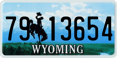 WY license plate 7913654