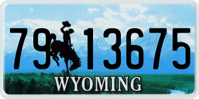 WY license plate 7913675