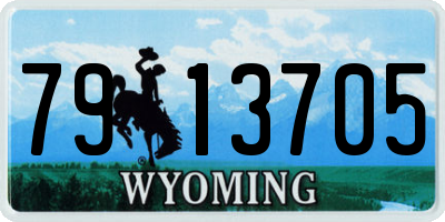 WY license plate 7913705