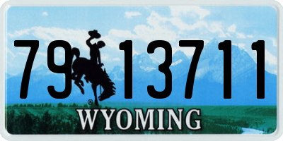 WY license plate 7913711