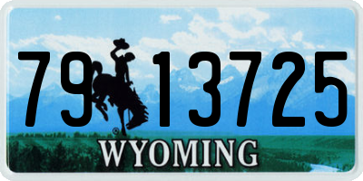 WY license plate 7913725