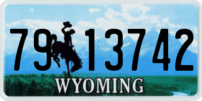 WY license plate 7913742
