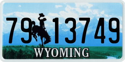WY license plate 7913749