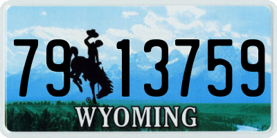 WY license plate 7913759