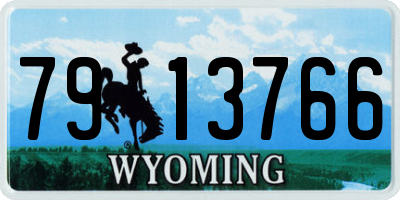 WY license plate 7913766