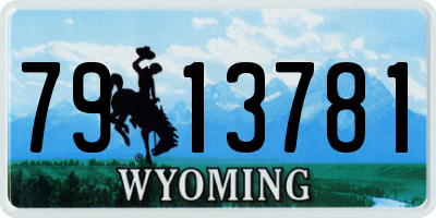 WY license plate 7913781