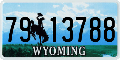 WY license plate 7913788