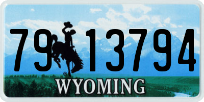 WY license plate 7913794