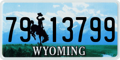 WY license plate 7913799