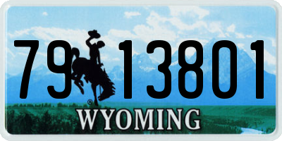 WY license plate 7913801