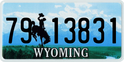 WY license plate 7913831