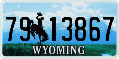 WY license plate 7913867