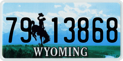 WY license plate 7913868