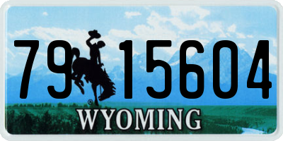 WY license plate 7915604