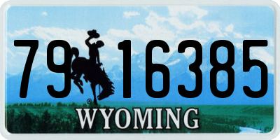 WY license plate 7916385