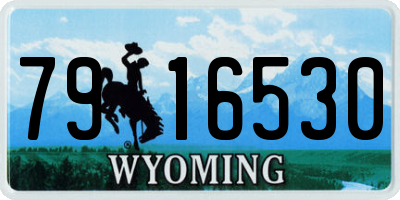 WY license plate 7916530