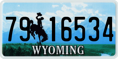 WY license plate 7916534