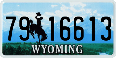 WY license plate 7916613