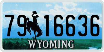 WY license plate 7916636