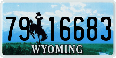 WY license plate 7916683