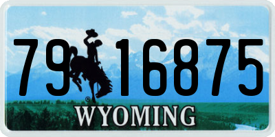 WY license plate 7916875