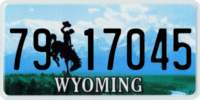 WY license plate 7917045
