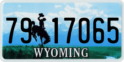 WY license plate 7917065