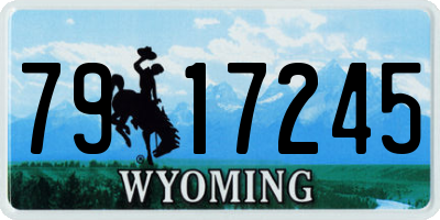 WY license plate 7917245