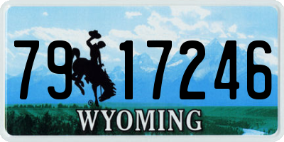 WY license plate 7917246