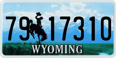 WY license plate 7917310