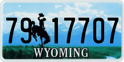 WY license plate 7917707