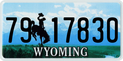 WY license plate 7917830