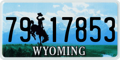 WY license plate 7917853