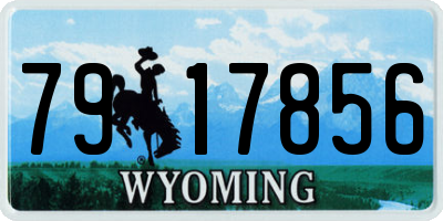 WY license plate 7917856