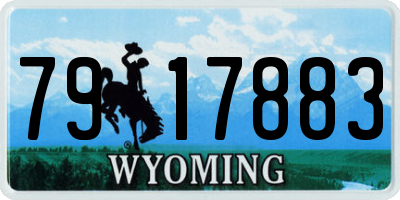 WY license plate 7917883