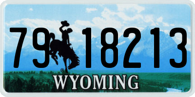 WY license plate 7918213